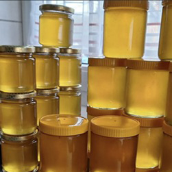 عسل طبیعی کوهی